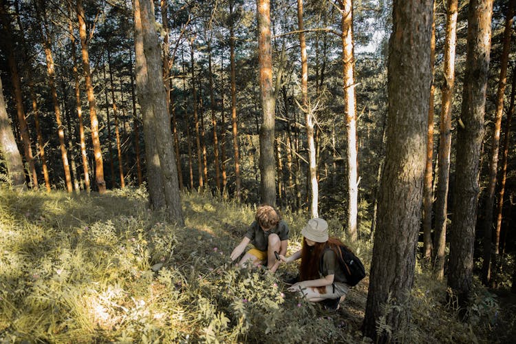 Children Scouts In Forest Exploring Wild Nature