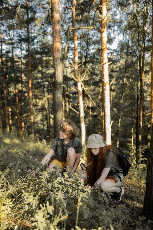 Foto d'estoc gratuïta de adolescents, aventura, bosc