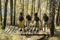 3 Men Standing on Forest