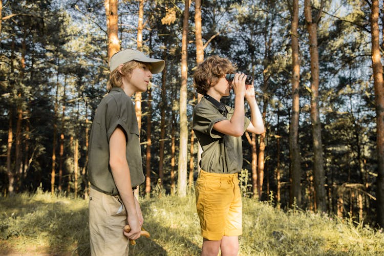 Boys With Binoculars In Forest