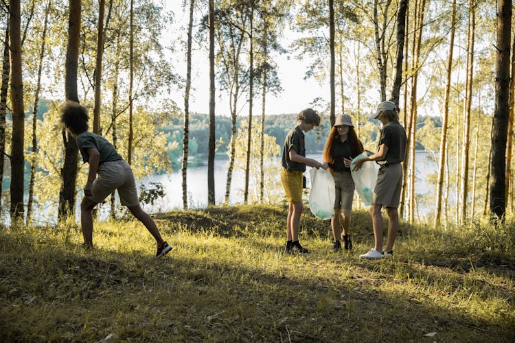 Boys And Girls Collecting Rubbish In Forest