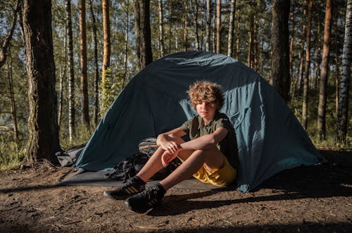 Foto d'estoc gratuïta de acampant, arbres, assegut