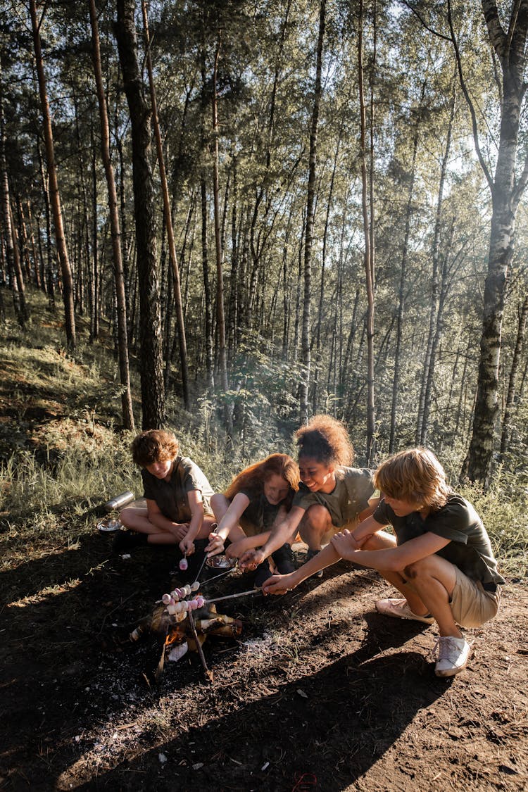 Scouts Roasting Marshmallows In A Forest