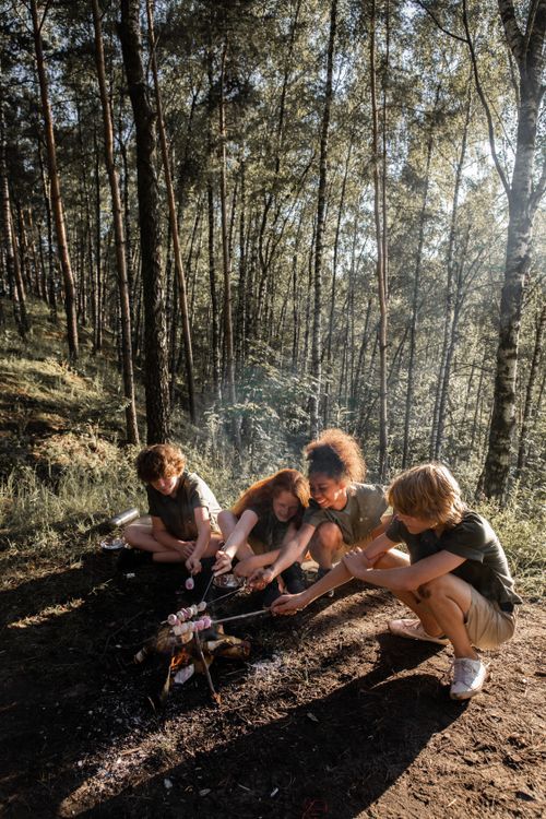 Free Group of teens roasting marshmallows over a campfire in a sunlit forest setting. Stock Photo