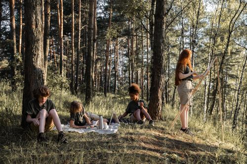 Free Children engaged in camping activities in a sunlit forest, enjoying nature and outdoor learning. Stock Photo