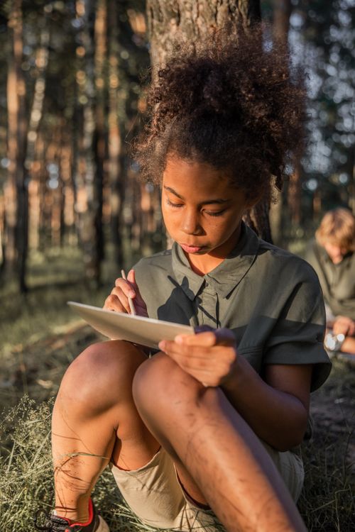 Free A young girl engrossed in painting amidst a sunlit forest, showcasing creativity and nature. Stock Photo