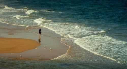 Free Person walking on a tranquil beach with gentle waves and seagulls under clear daylight. Stock Photo