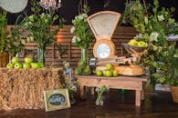 Plants in Baskets, Scales on a Table and Apples