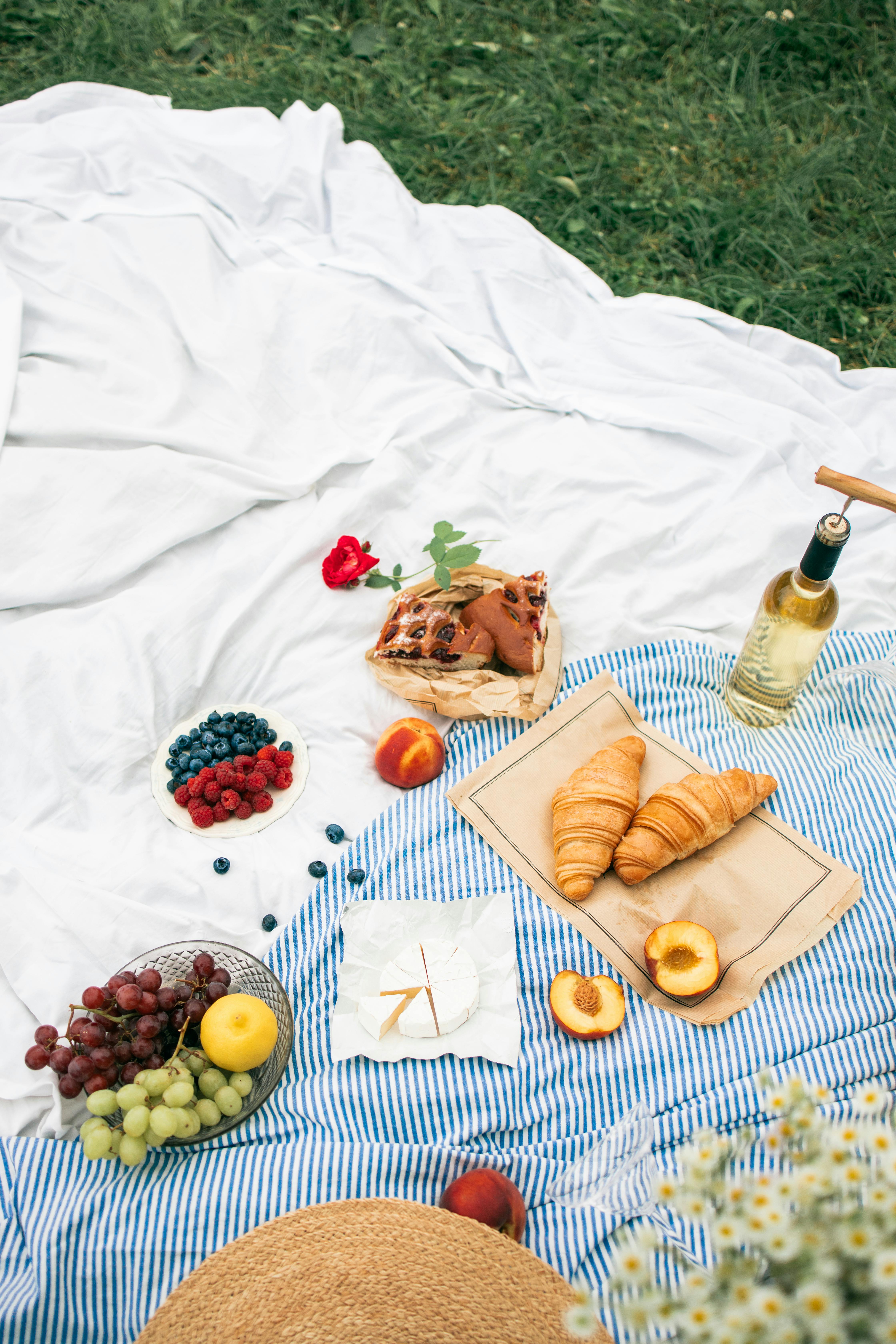 Food and White Wine on a Picnic Blanket · Free Stock Photo