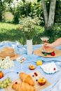 夏季野餐很惬意，条纹毯子上摆着羊角面包、水果、布里奶酪和白葡萄酒