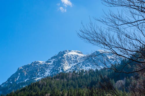 Fotobanka s bezplatnými fotkami na tému hora, krajina, Mníchov