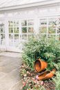 Green Plants on Brown Clay Pot