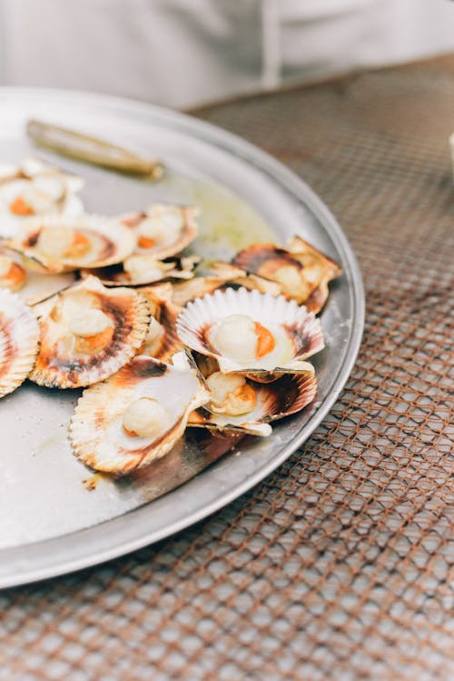 Close Up Photo of Grilled Scallops on Metal Tray