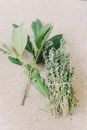 Green Plant on White Textile