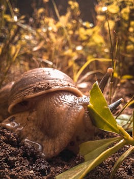 A detailed close-up of a snail navigating over a leafy plant in its natural environment.