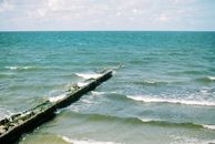 Brown Wooden Dock on Sea