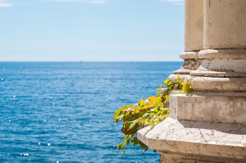 Plant Hanging off a Column on the Background of a Blue Sea 