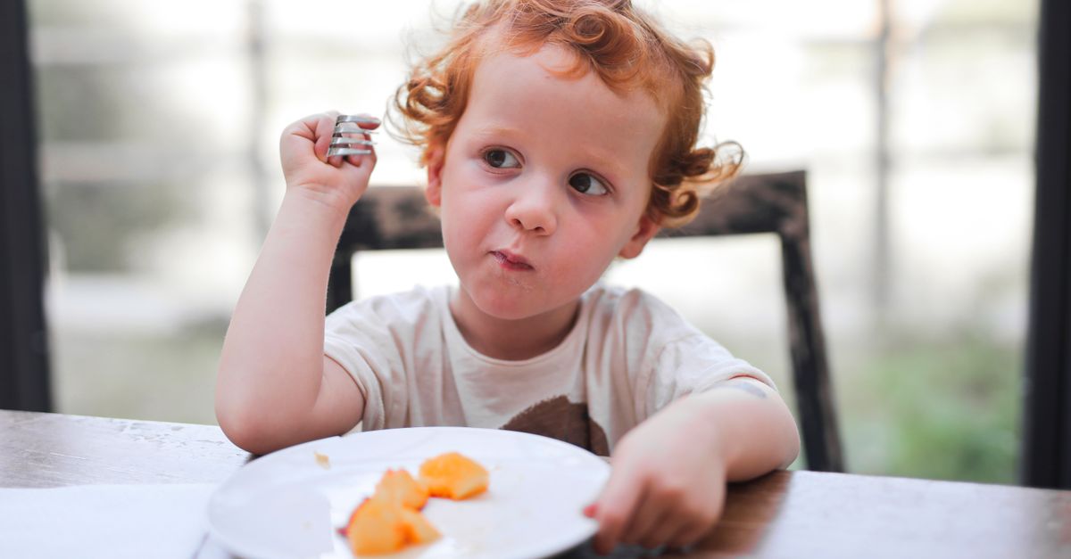 Crevette Enfant 2 Ans : Guide Sécurité Alimentaire