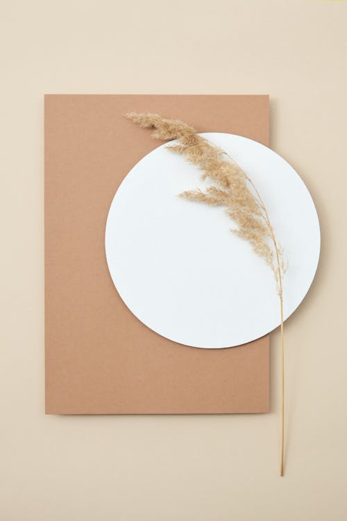 Studio Shot of Paper and Dry Grass