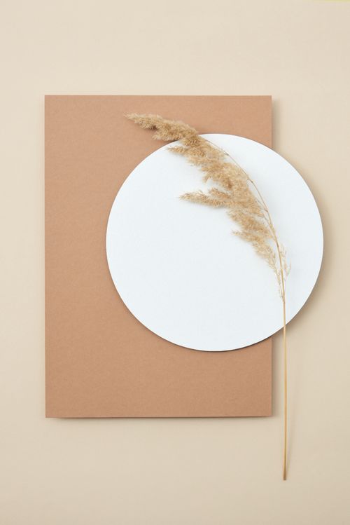 Free Aesthetic minimalist still life featuring a dried reed on geometric shapes, ideal for modern decor. Stock Photo