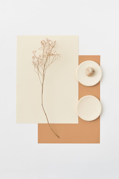 Neutral Colored Papers, Dry Twig and Little White Plates 
