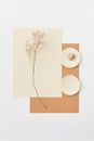 White and Brown Flower Painting