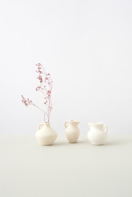 Vases on a White Background