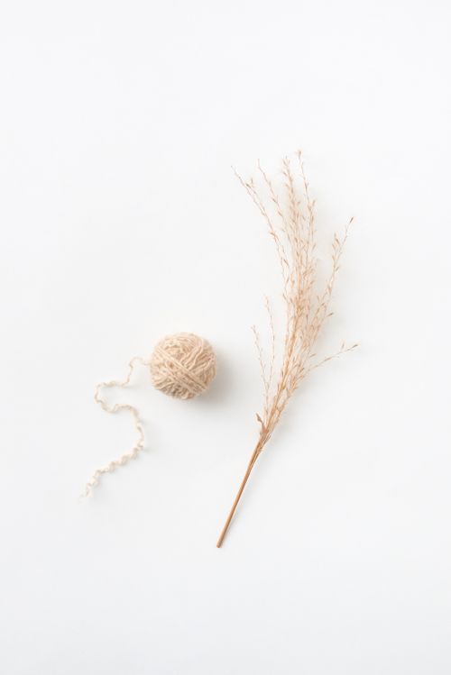 Free Aesthetic flat lay featuring a ball of yarn and dry stem on a white background. Stock Photo