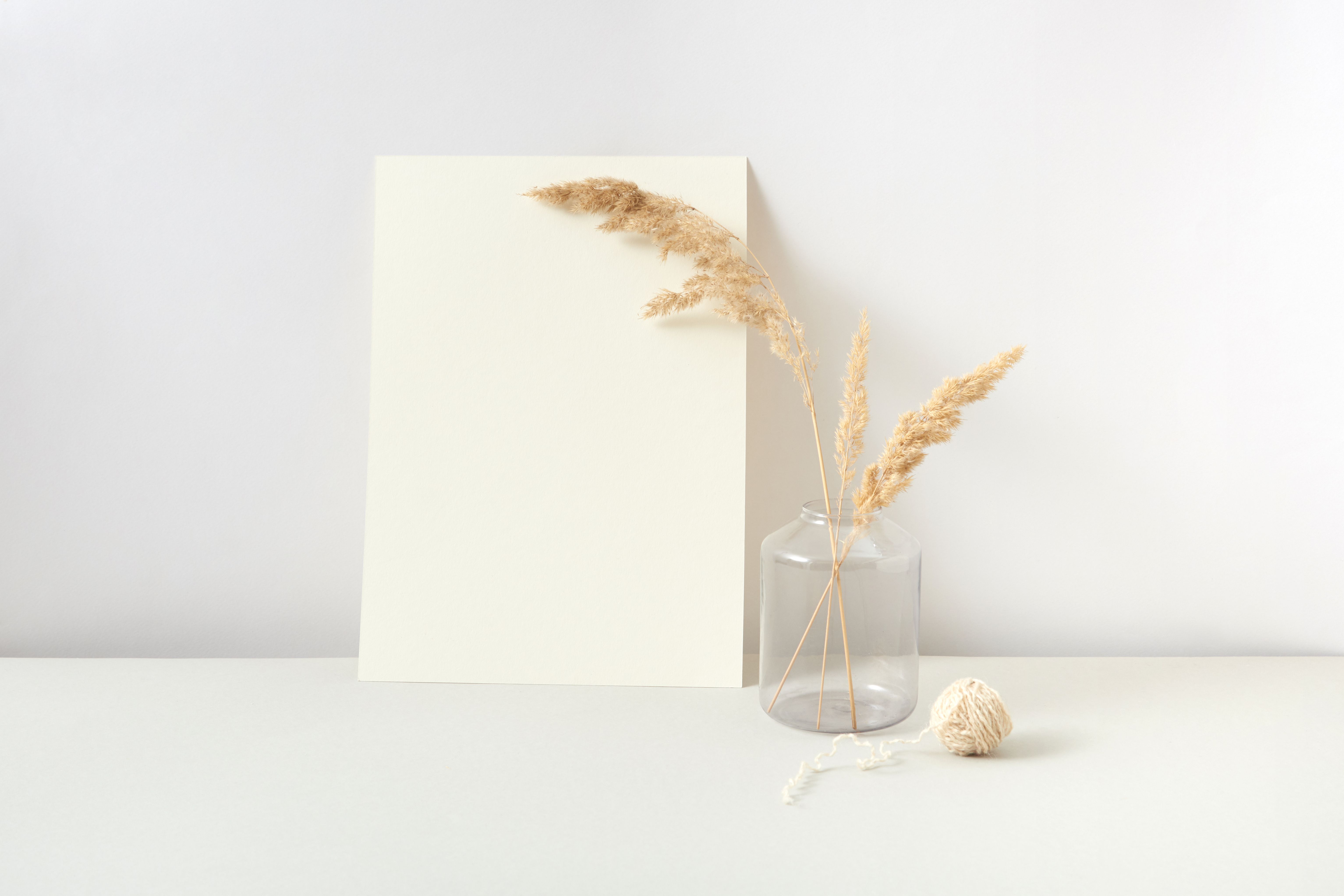 A minimalist composition featuring pampas grass in a glass jar, white paper, and yarn.