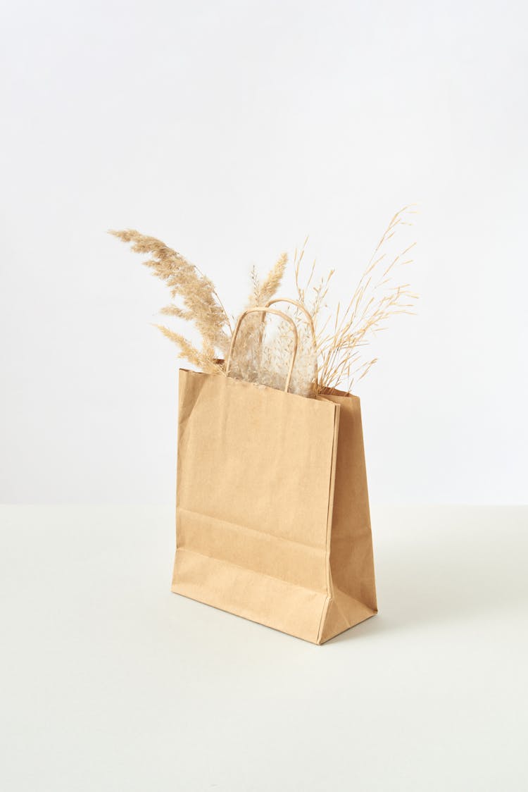 Close-up Of Craft Paper Bag With Dry Plants