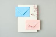Pink and White Floral Paper