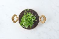 Green Plant on Black Round Pot
