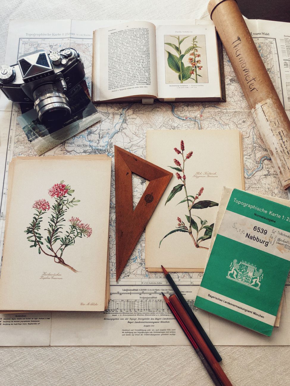 Flat lay of vintage camera, maps, and botanical prints on a desk.. flat, vintage, camera