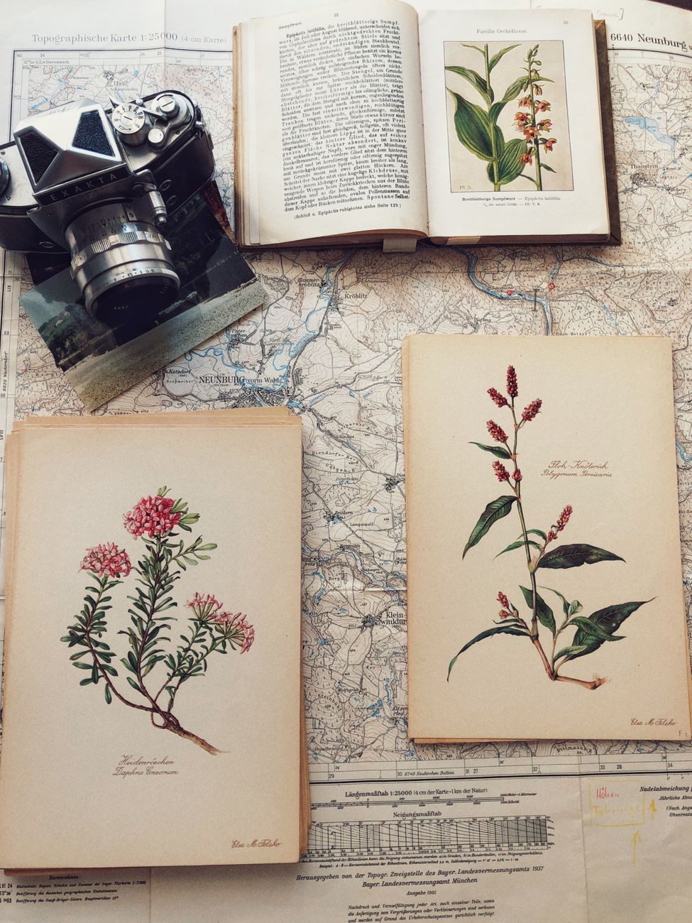 A retro-themed still life featuring a vintage camera, books with botanical illustrations, and a detailed map.. pexels, retro,