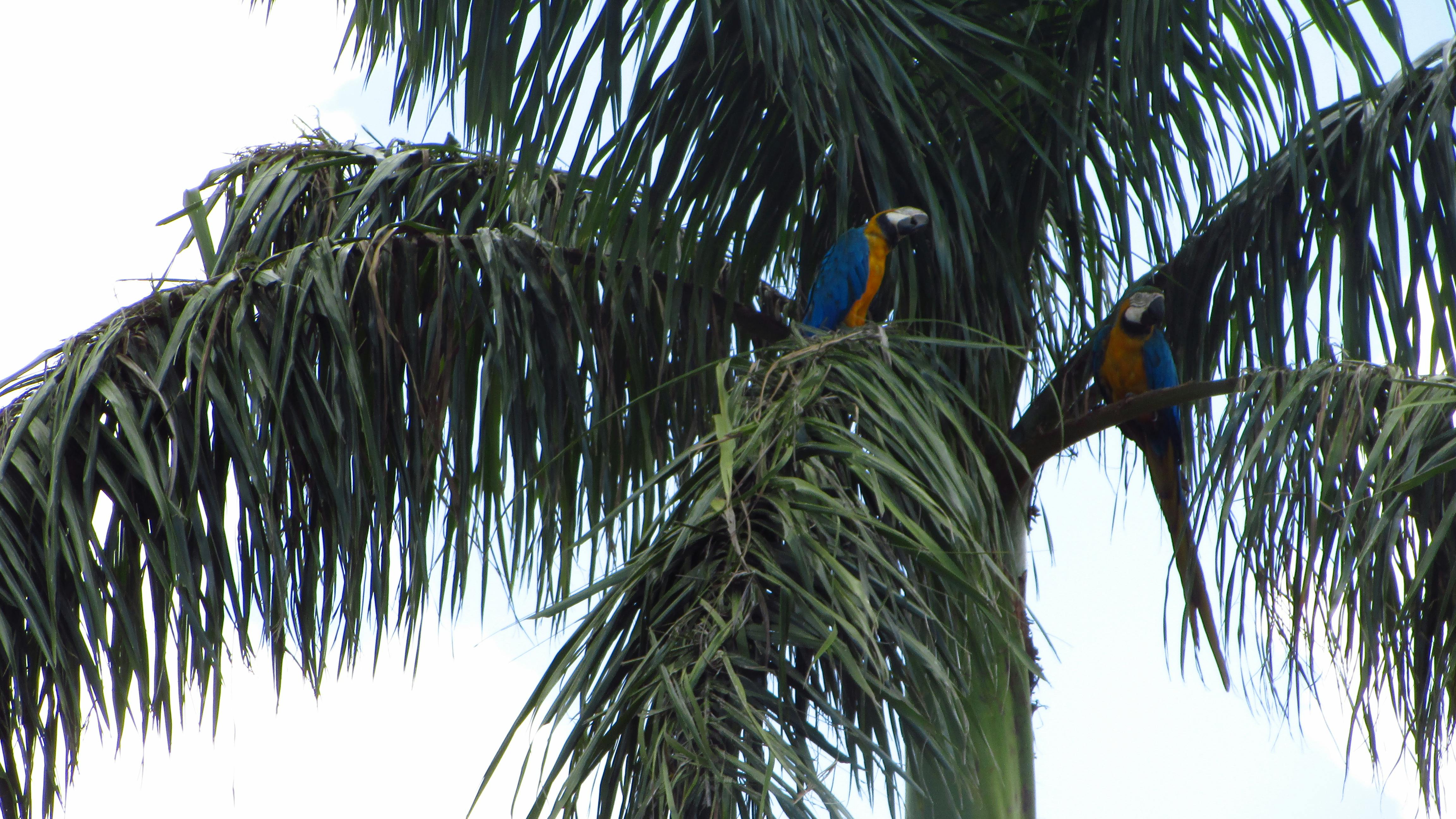 Oslo Opera House by the fjord