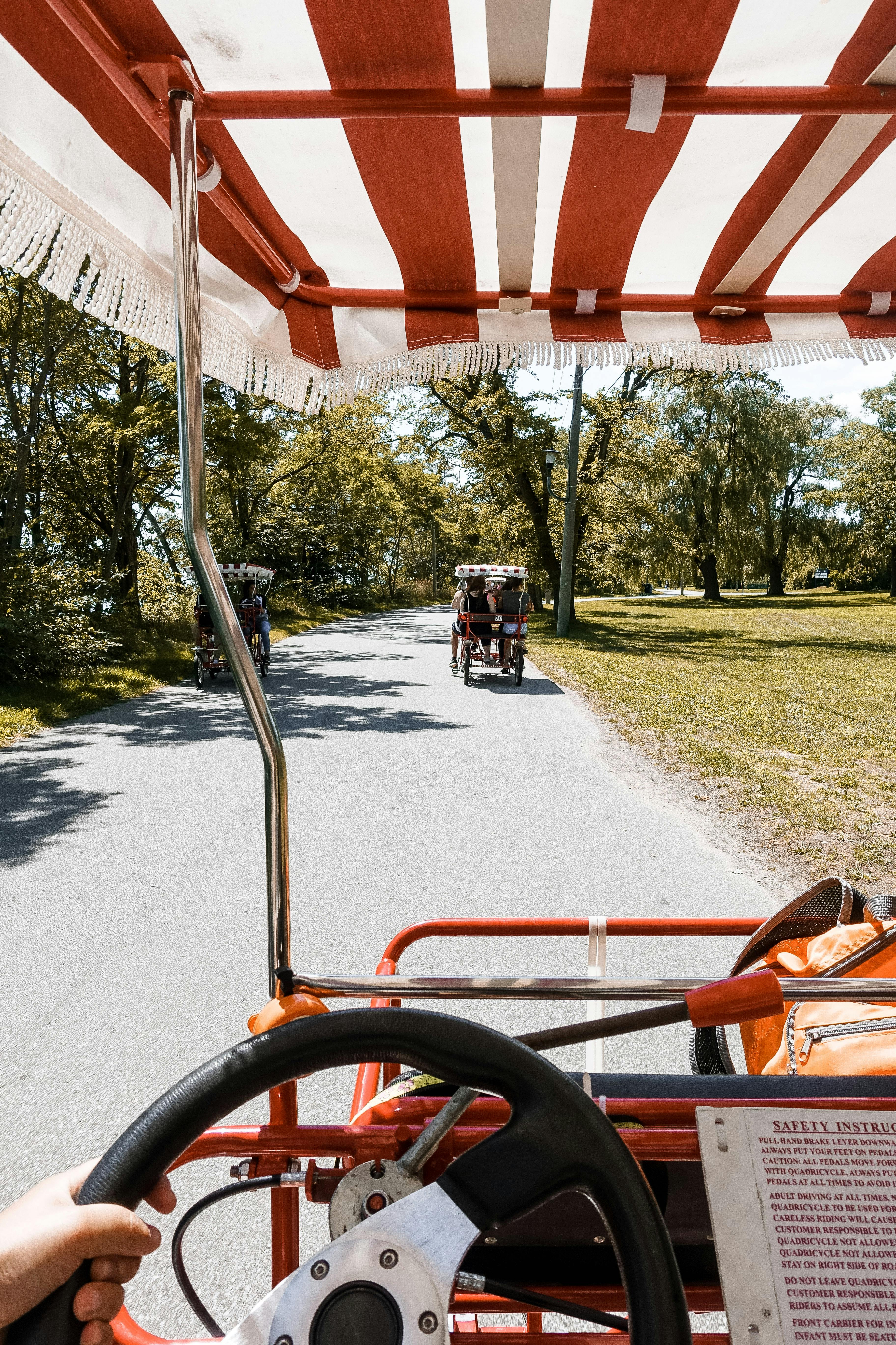 Who is orangutan driving golf cart?