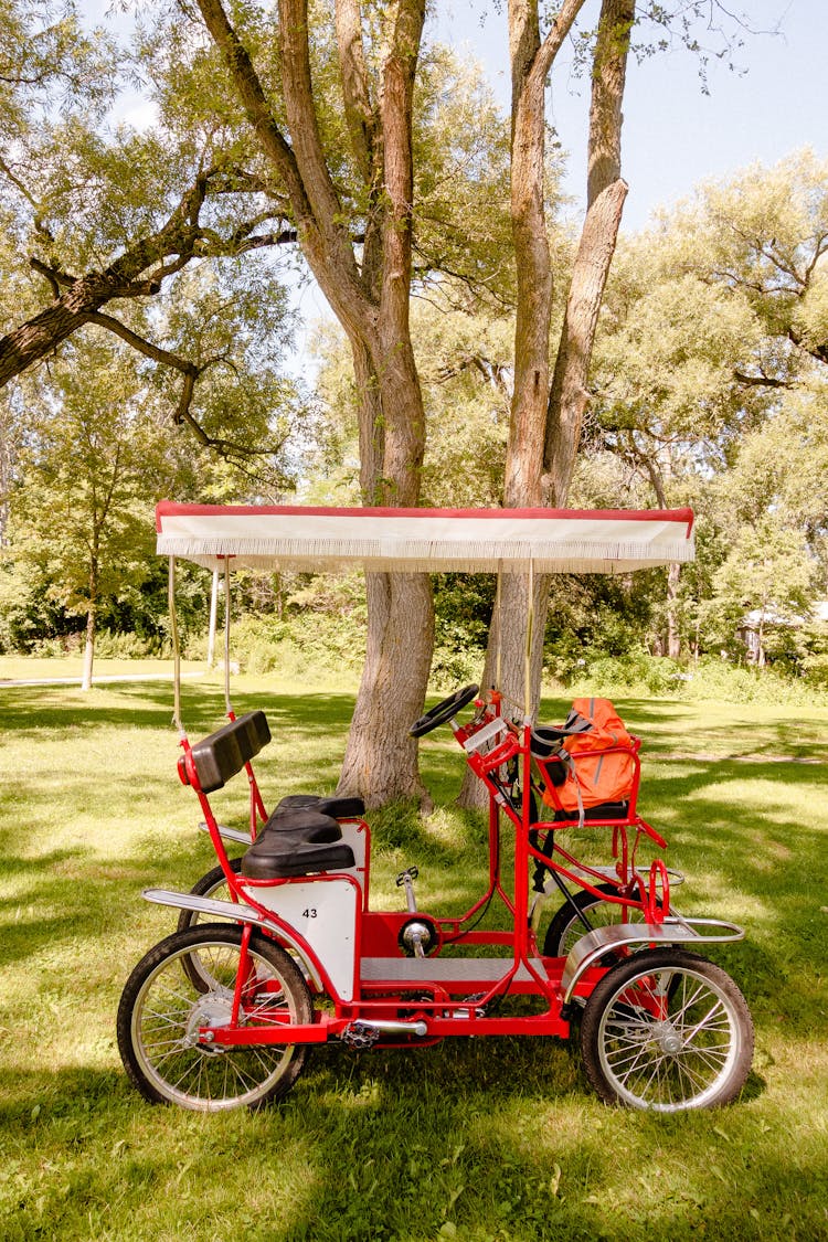 Modern Colorful Buggy For Players Golf