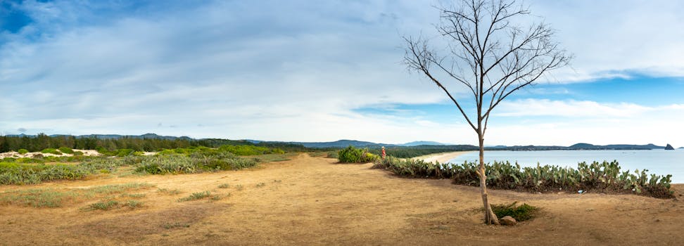 Wide coastal view with open horizon and a solitary tree under cloudy skies.
