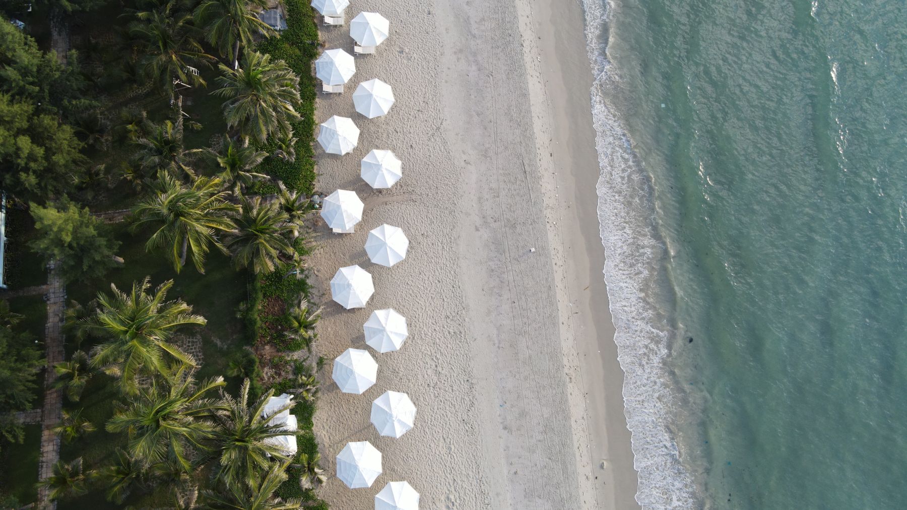 Hình ảnh flycam tuyệt đẹp với những chiếc ô trắng và ghế tắm nắng đặt trên bãi cát giữa biển xanh và hàng dừa nhiệt đới