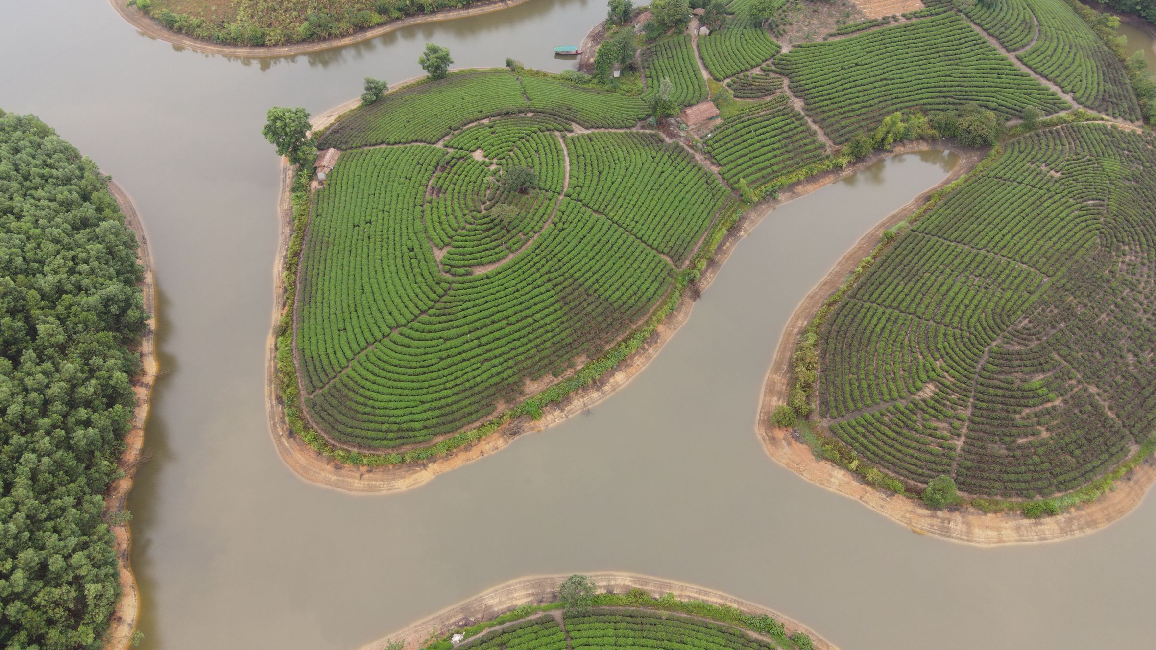 Aerial view of river flowing near Thanh Chuong tea island with lush vegetation located in Nghe An in daytime