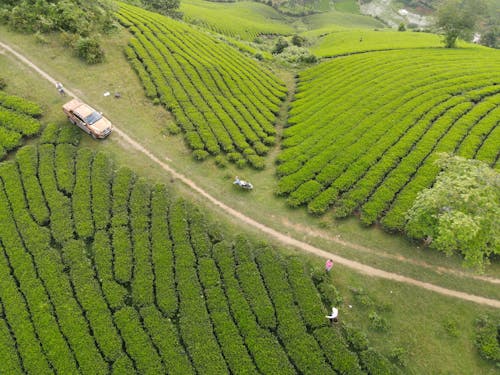 Immagine gratuita di aereo, agricoltura, altezza