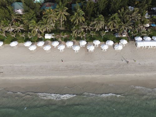 Tropical resort hotel on sandy seacoast on sunny day
