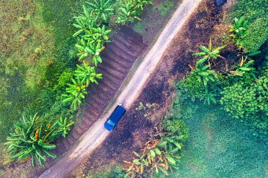 Stunning aerial view of a dirt road traversing lush greenery and banana trees in rural Banten, Indonesia.