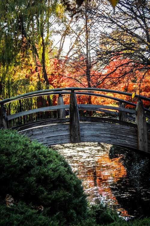 Wooden Bridge on the Forest Park River