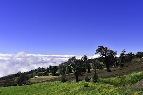 Foto stok gratis bluw sky, gunung, gunung hijau