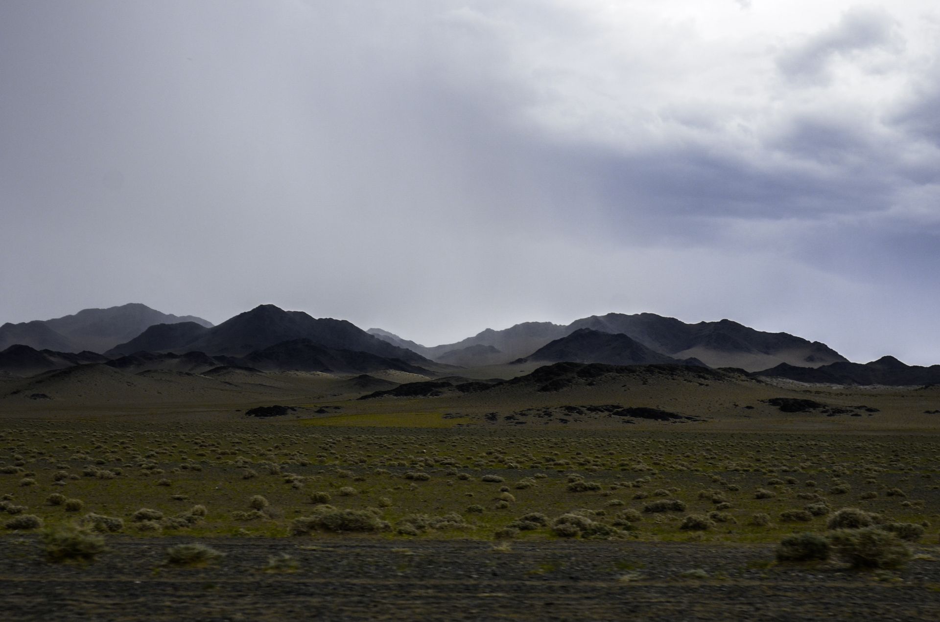 Vasta estepa siberiana bajo una luz baja y nublada