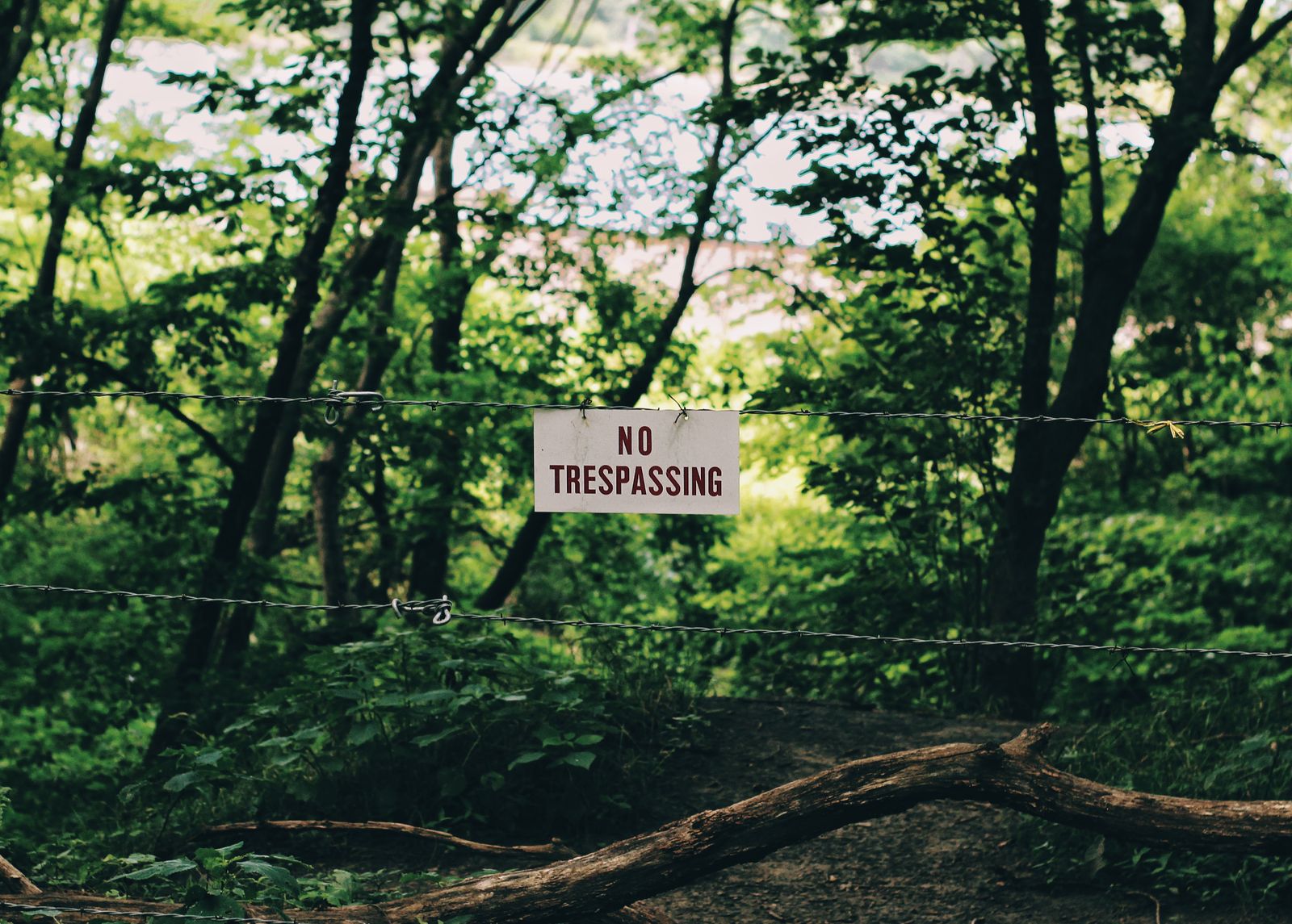A "No Trespassing" warning sign posted amid green forest vegetation