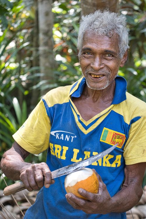 Free Elderly Sri Lankan man smiling while peeling a coconut outdoors in a vibrant setting. Stock Photo