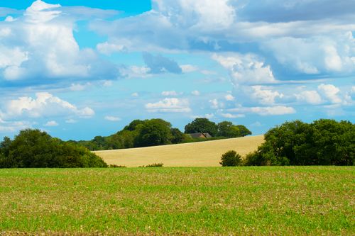 Free A serene landscape capturing rolling fields under a majestic blue sky with fluffy clouds in the UK countryside. Stock Photo