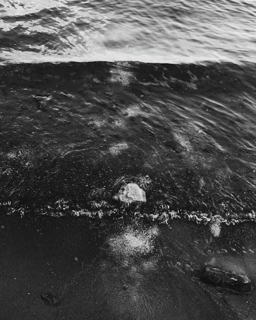 A Grayscale of a Shore with Waves